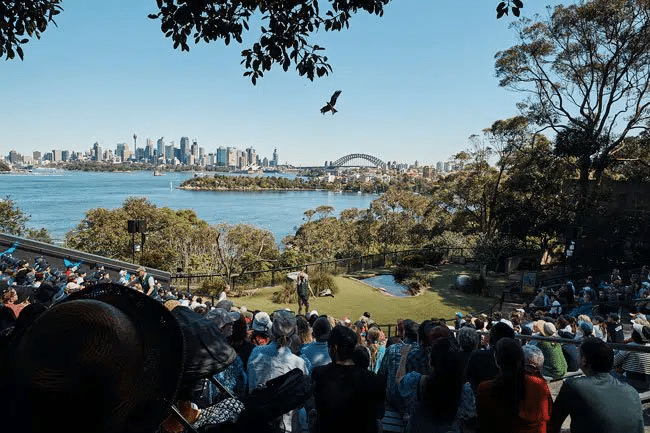 Little Leo's Childcare | 6 Things to Do in Sydney with Kids This Spring! Taronga Zoo – Animals & Water Play
