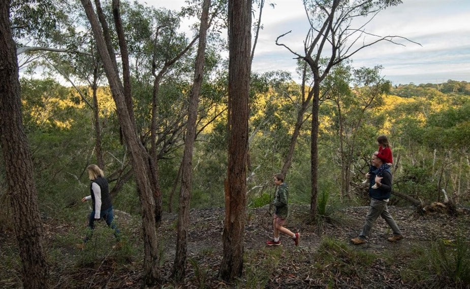 Little Leo's Childcare | 6 Things to Do in Sydney with Kids This Spring! Ku-ring-gai Wildflower Garden – Bushland Explorations