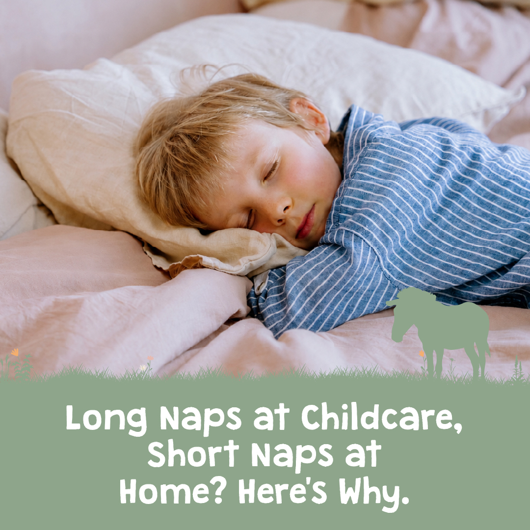 Long Naps at Childcare, Short Naps at Home? Here's Why.